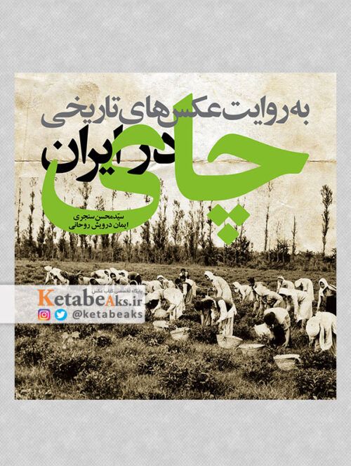 چای در ایران به روایت عکس های تاریخی / 1399
