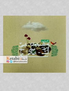 آثار برگزیده جشنواره عکاسی از طبیعت استان البرز ( سرو یکم )