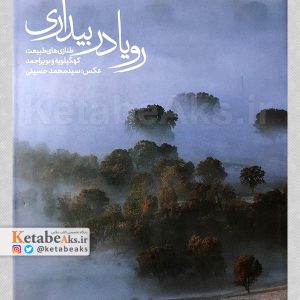 رویا در بیداری /سیدمحمد حسینی /1396