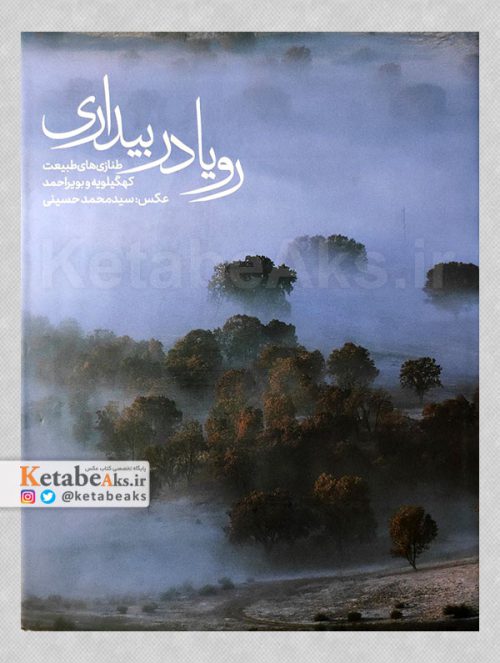 رویا در بیداری /سیدمحمد حسینی /1396