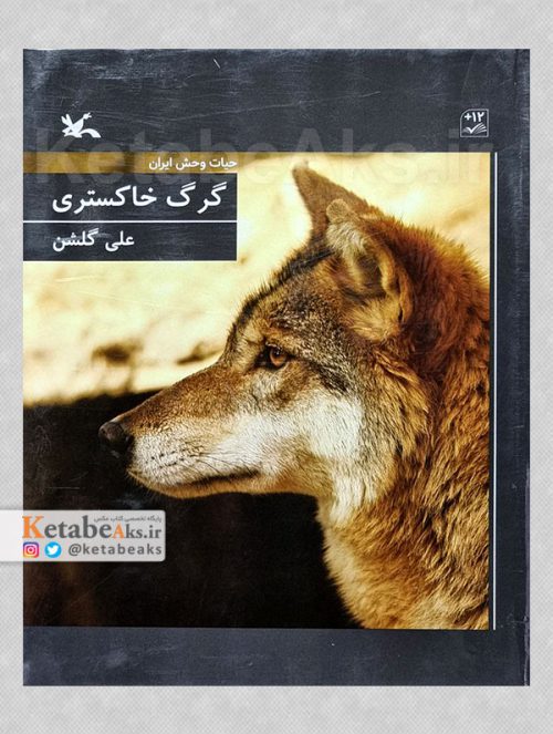 حیات وحش ایران: گرگ خاکستری /علی گلشن /1400