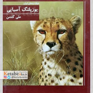 حیات وحش ایران: یوزپلنگ آسیایی /علی گلشن /1400
