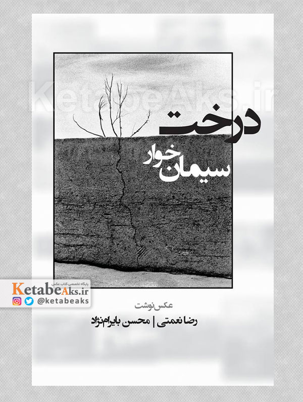 درخت سیمان خوار /محسن بایرام نژاد و رضا نعمتی /1403
