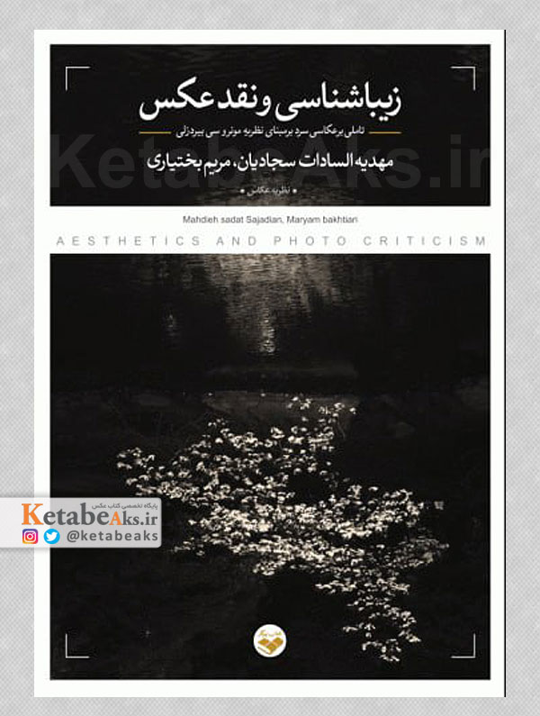 زیباشناسی و نقد عکس/ تاملی بر عکاسی سرد بر مبنای نظریه مونرو سی بیردزلی /1404