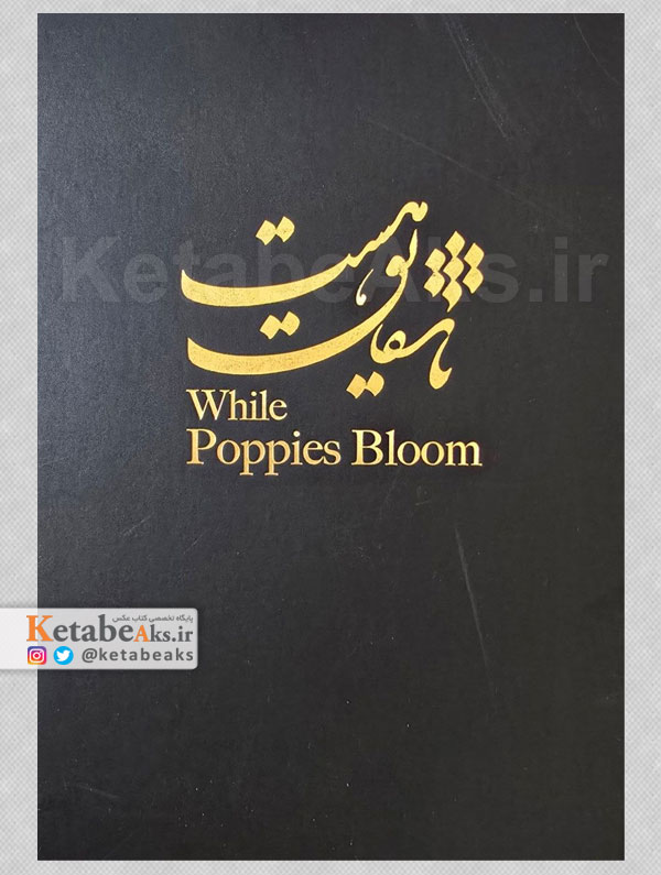 تا شقایق هست